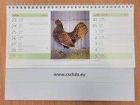 Stoln chovatelsk kalend SCH 2023