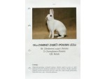 Dodatek do vzorníku plemen králíků ZZa - platný do r. 2020 [Detail produktu]